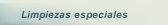Limpiezas especiales