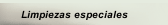 Limpiezas especiales